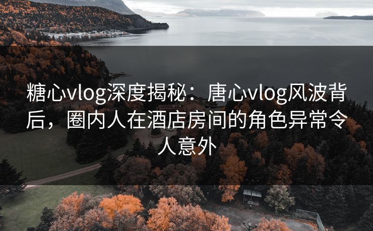 糖心vlog深度揭秘：唐心vlog风波背后，圈内人在酒店房间的角色异常令人意外