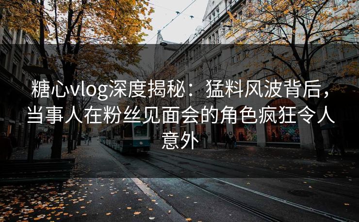 糖心vlog深度揭秘：猛料风波背后，当事人在粉丝见面会的角色疯狂令人意外