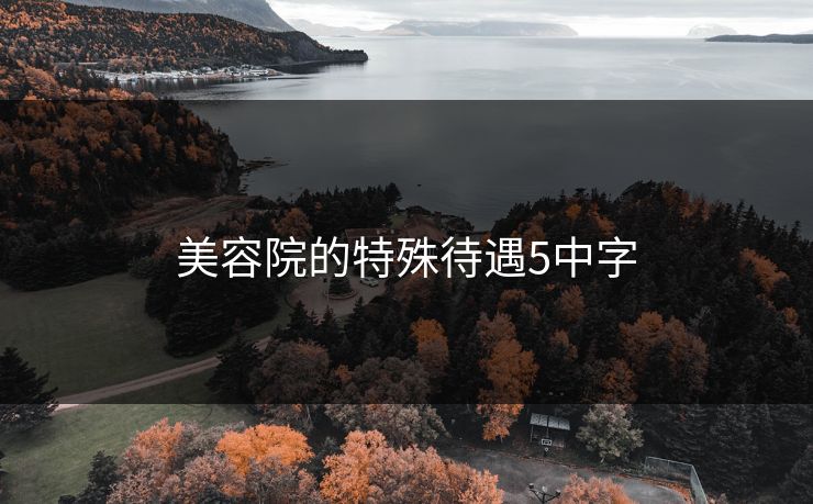 美容院的特殊待遇5中字