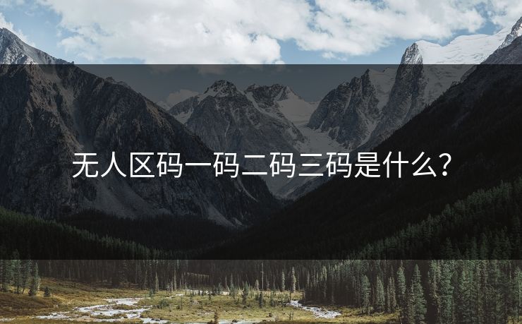无人区码一码二码三码是什么？