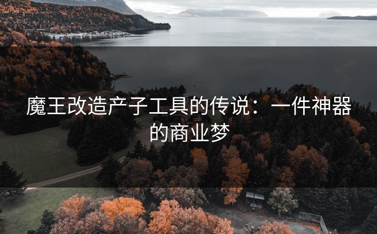 魔王改造产子工具的传说：一件神器的商业梦