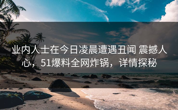 业内人士在今日凌晨遭遇丑闻 震撼人心，51爆料全网炸锅，详情探秘