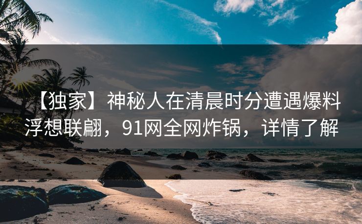 【独家】神秘人在清晨时分遭遇爆料 浮想联翩，91网全网炸锅，详情了解